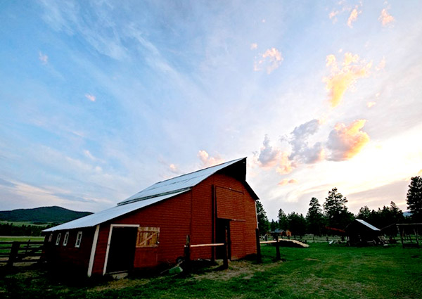 Fortine Montana ranch and horse property real estate